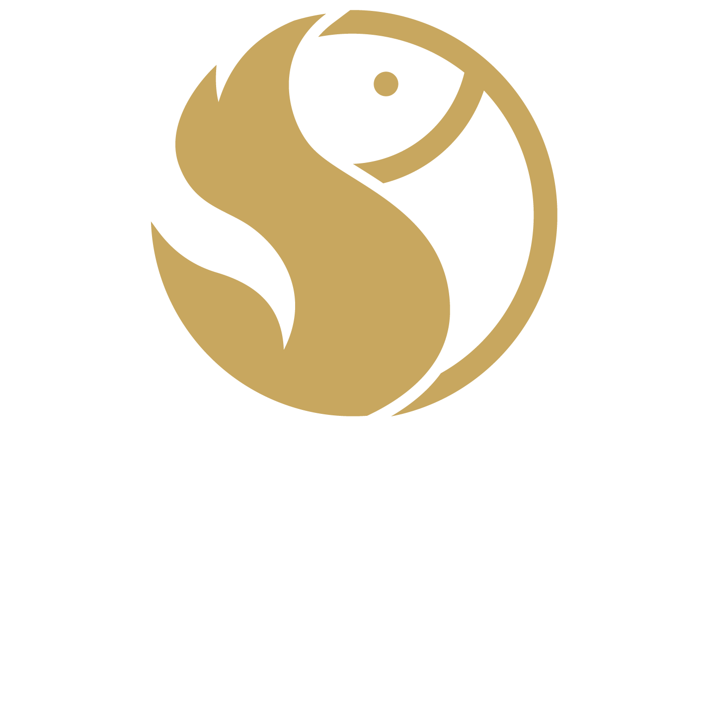 Kokomo restaurant